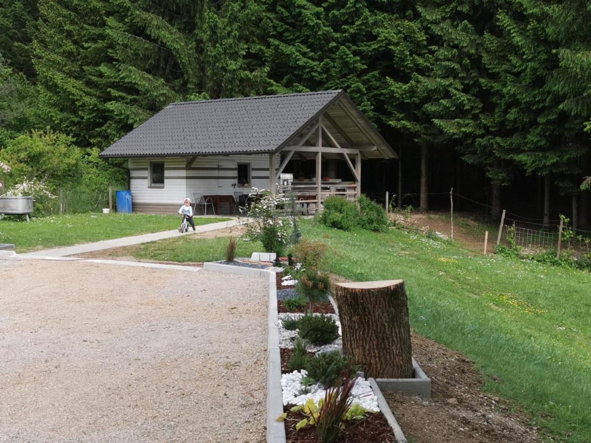 Gostilna S Prenocisci Pav Hotel Rakek Kültér fotó